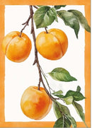 Strofinaccio Ambol 100% COTONE