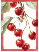 Strofinaccio Ambol 100% COTONE