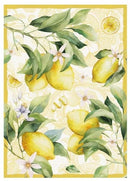 Strofinaccio EDEA 100% COTONE