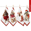 Set 4 strofinacci Simba