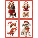 Set 4 strofinacci Simba