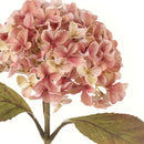 Ortensia con foglie - Nuvole di Stoffa