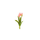 Mazzo 5 Tulipani