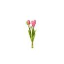 Mazzo 5 Tulipani