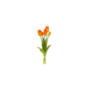 Mazzo 5 Tulipani