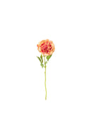Peonia real touch con foglie – Fiorirà