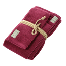 Set Coppia ospite e asciugamano COCCOLA