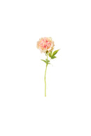 Peonia real touch con foglie – Fiorirà