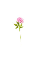 Peonia real touch con foglie – Fiorirà
